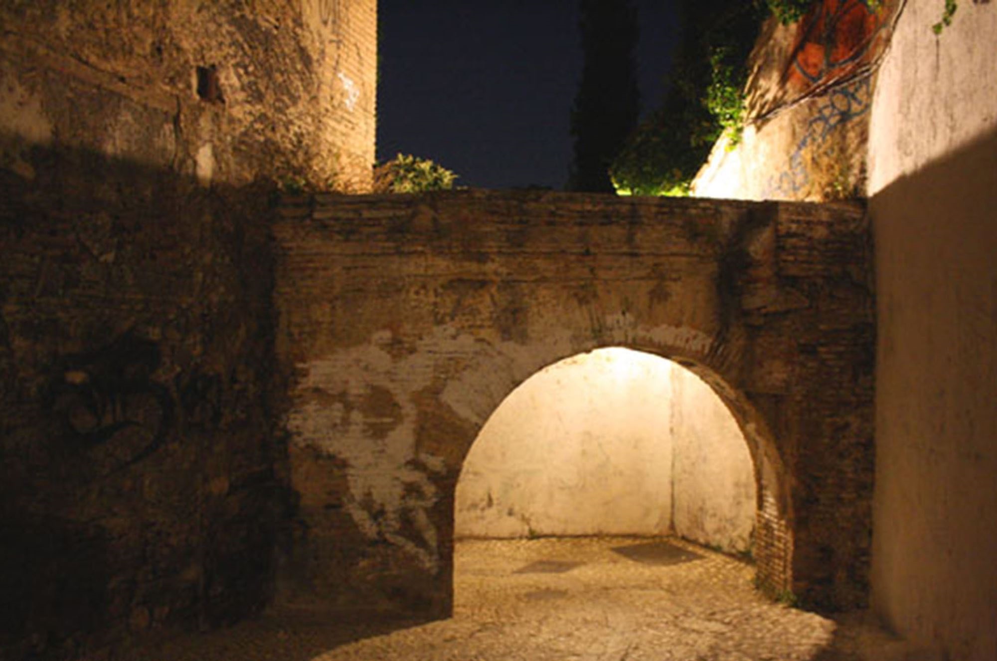 night Tour Albayzin and Gypsy Sacromonte Granada